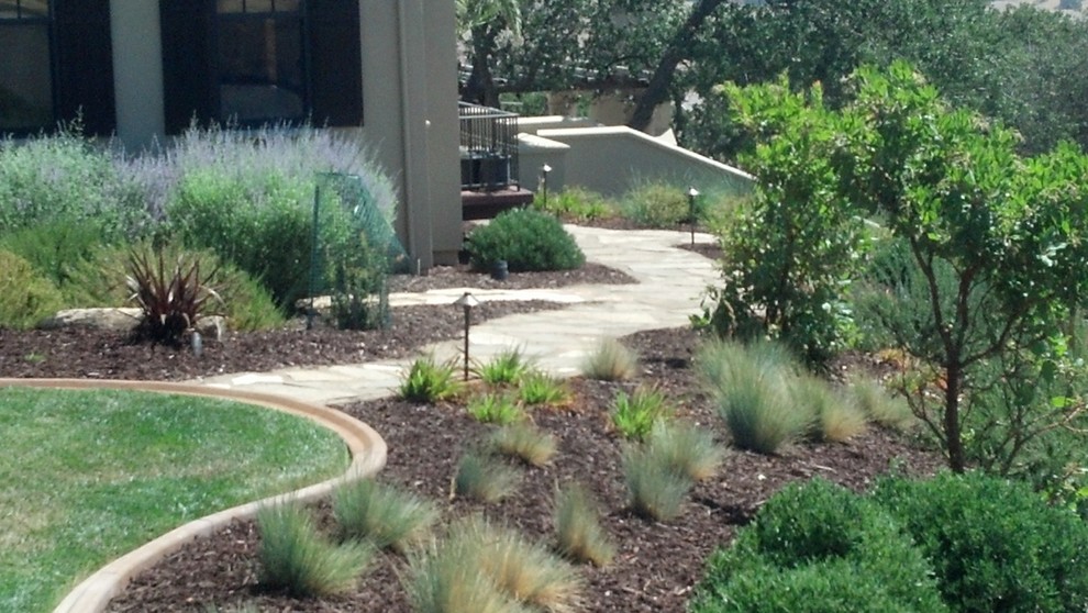 This is an example of a mediterranean landscaping in Sacramento.