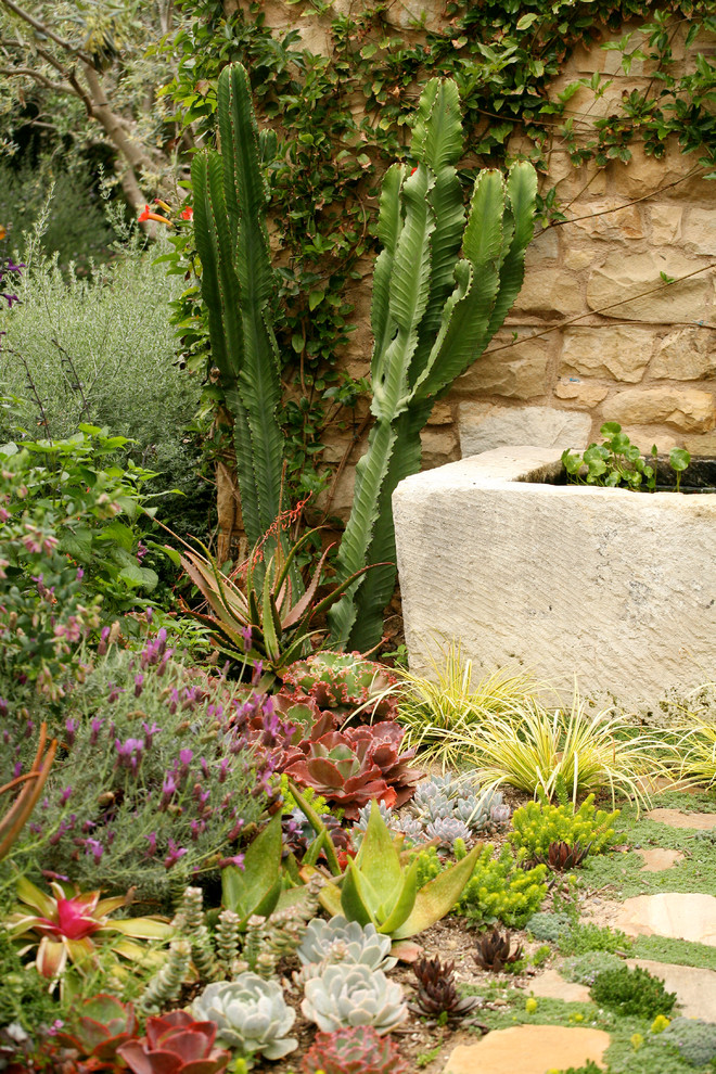 Ispirazione per un ampio giardino formale mediterraneo esposto a mezz'ombra dietro casa con un giardino in vaso e pavimentazioni in pietra naturale