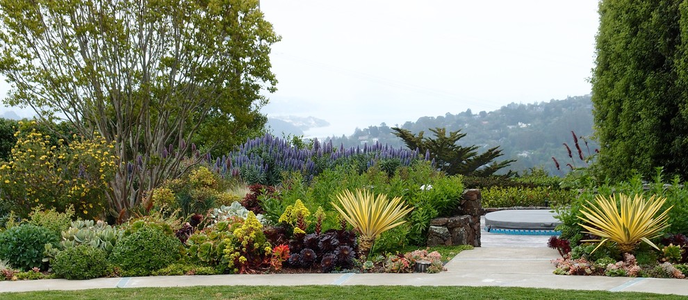Photo of a huge traditional full sun backyard stone landscaping in San Francisco for summer.