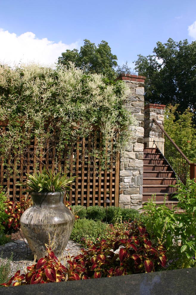 Photo of a small contemporary backyard gravel landscaping in Philadelphia.