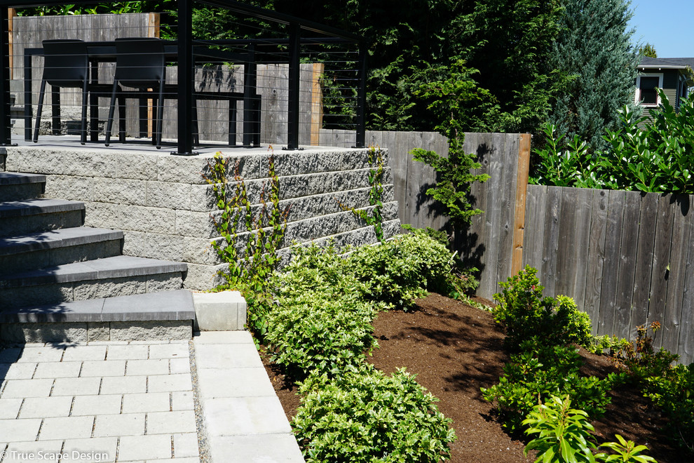 Esempio di un giardino xeriscape moderno esposto in pieno sole di medie dimensioni in primavera con un pendio, una collina o una riva e pavimentazioni in cemento