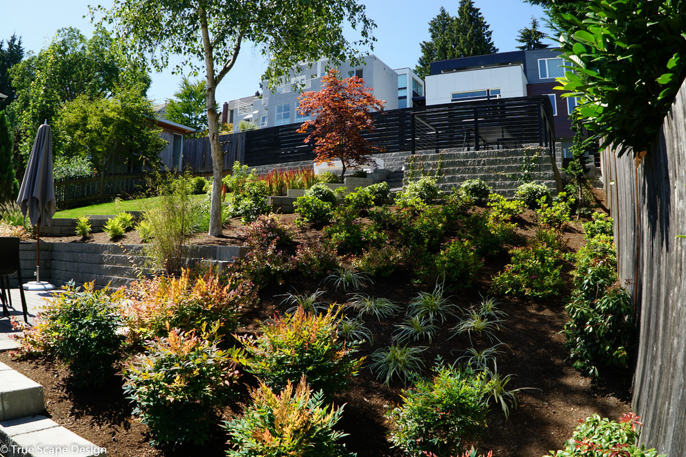 Foto di un giardino xeriscape minimalista esposto in pieno sole di medie dimensioni in primavera con un muro di contenimento, pavimentazioni in mattoni e un pendio, una collina o una riva