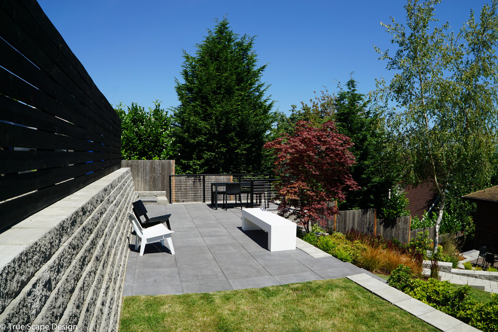 Foto di un giardino xeriscape moderno di medie dimensioni e dietro casa con un muro di contenimento e pavimentazioni in cemento