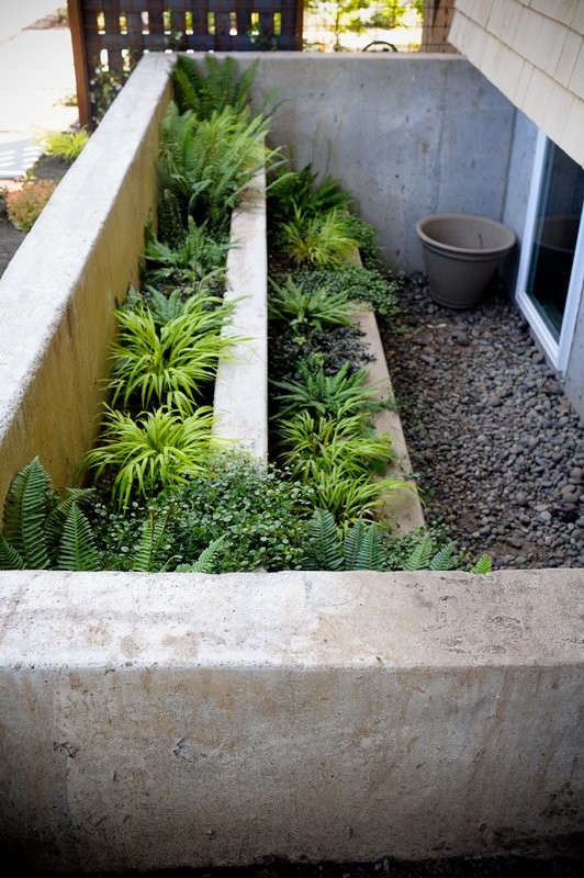 Photo of a medium sized contemporary back full sun garden in Portland with a garden path and concrete paving.