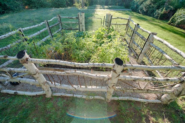 Foto di un grande orto in giardino stile rurale esposto a mezz'ombra dietro casa in estate con ghiaia