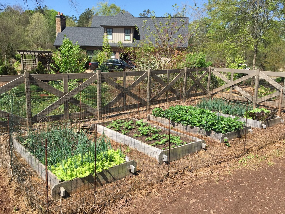На фото: солнечный огород на участке среднего размера на боковом дворе в стиле кантри с хорошей освещенностью с