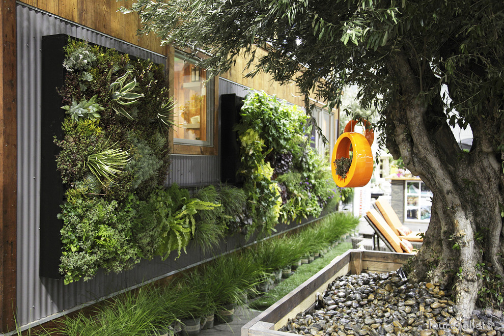 Design ideas for a contemporary garden in Los Angeles.