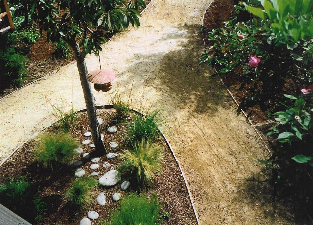 Dog Friendly Garden Traditional Landscape San Francisco By Deanna Glory Landscape Design Houzz