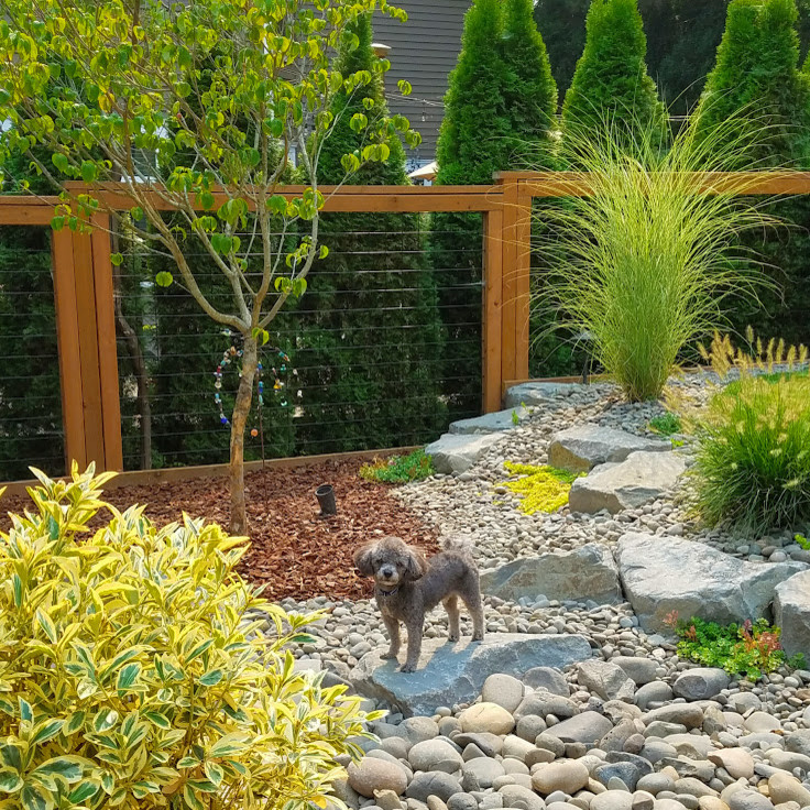 Esempio di un giardino xeriscape chic esposto in pieno sole di medie dimensioni e dietro casa in estate con un muro di contenimento e pavimentazioni in pietra naturale