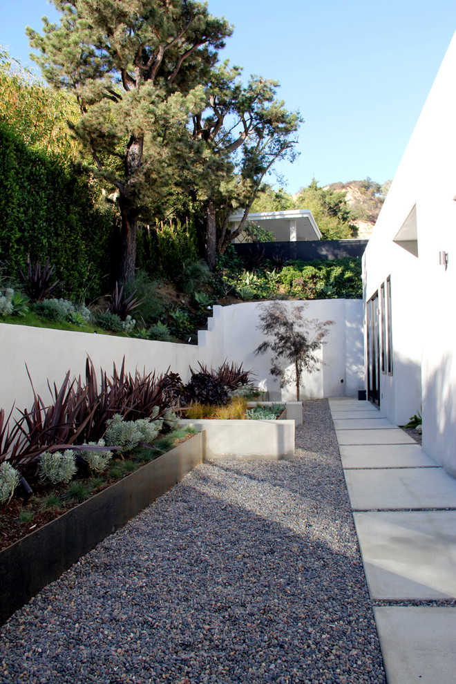 Идея дизайна: участок и сад на склоне в современном стиле с растениями в контейнерах и покрытием из гравия