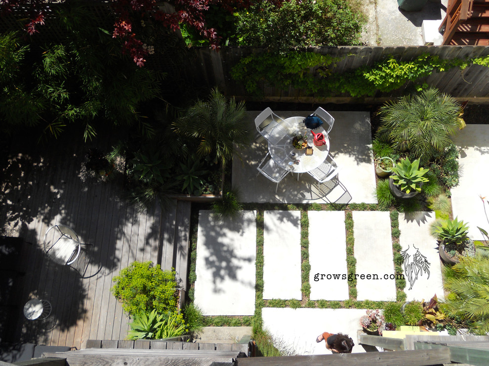Imagen de jardín moderno de tamaño medio en patio trasero con exposición total al sol y adoquines de hormigón
