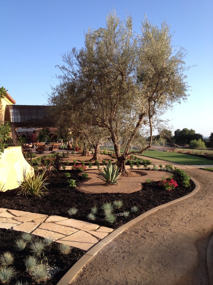Идея дизайна: осенний засухоустойчивый сад среднего размера на переднем дворе в средиземноморском стиле с садовой дорожкой или калиткой, полуденной тенью и покрытием из гравия