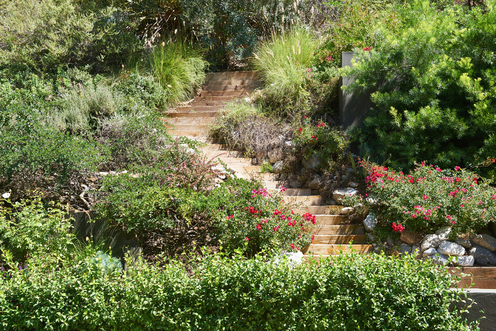 Donna Livingston Design Benedict Canyon - Traditional - Landscape - Los ...