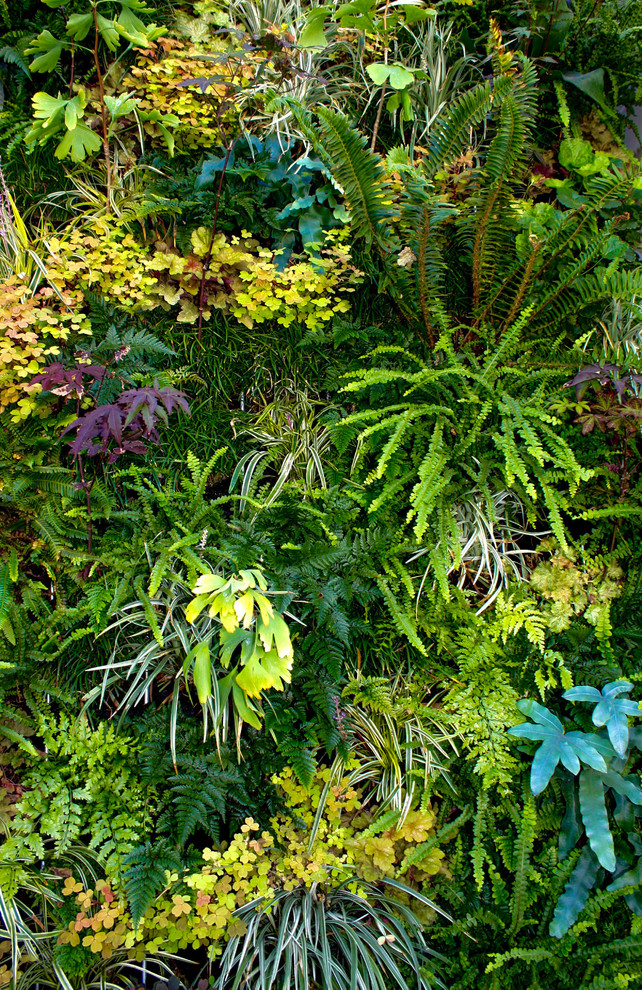 Inspiration for a small modern front fully shaded garden in San Francisco with a living wall.