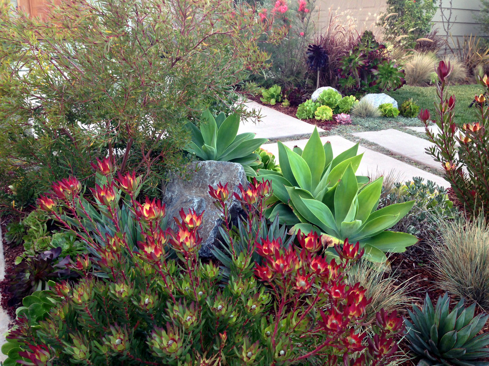 Inspiration for a contemporary garden in Orange County.