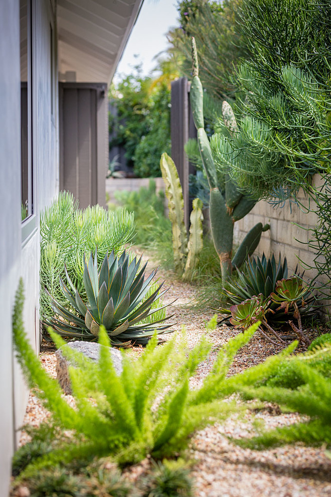 Inspiration for a midcentury garden in Orange County.