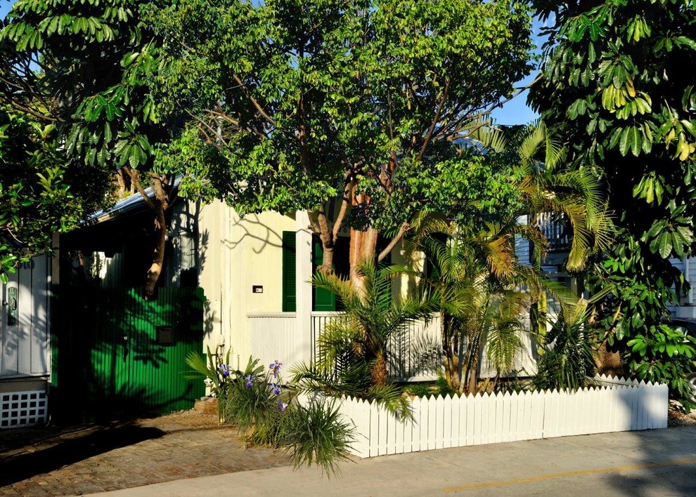 Ispirazione per un piccolo giardino tropicale davanti casa