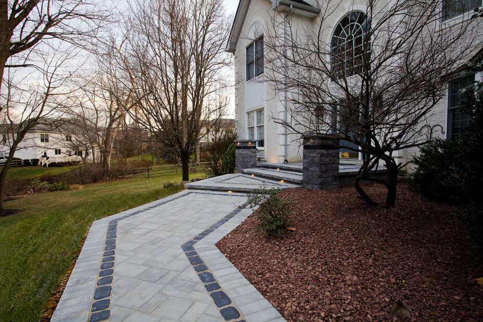 Immagine di un giardino xeriscape minimal esposto a mezz'ombra di medie dimensioni e davanti casa con un ingresso o sentiero e pavimentazioni in cemento