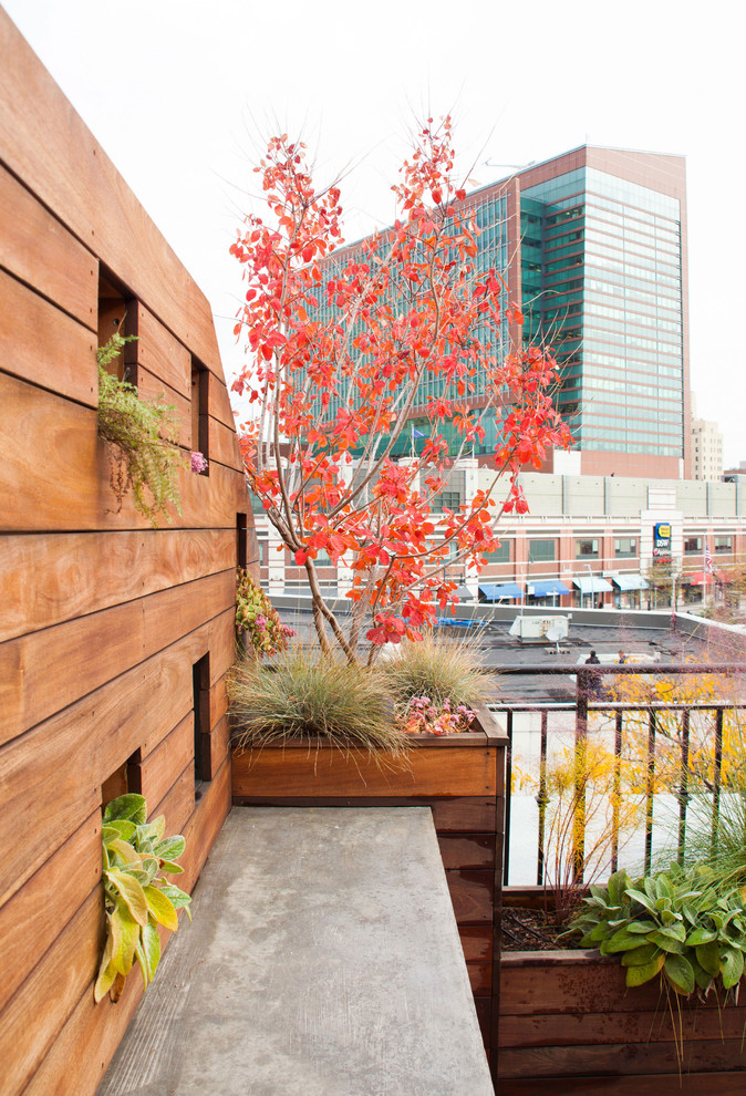 Idée de décoration pour un petit jardin sur toit minimaliste avec une exposition ensoleillée.