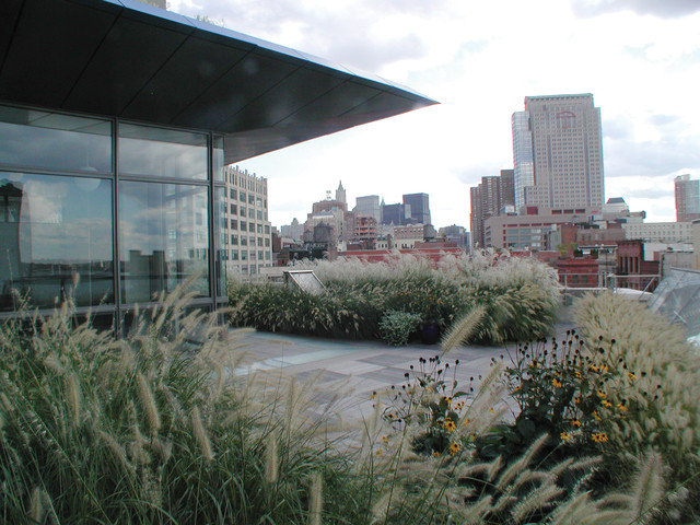 Picture of Penthouse: Architecture, History, Sustainability, Materials, And ...