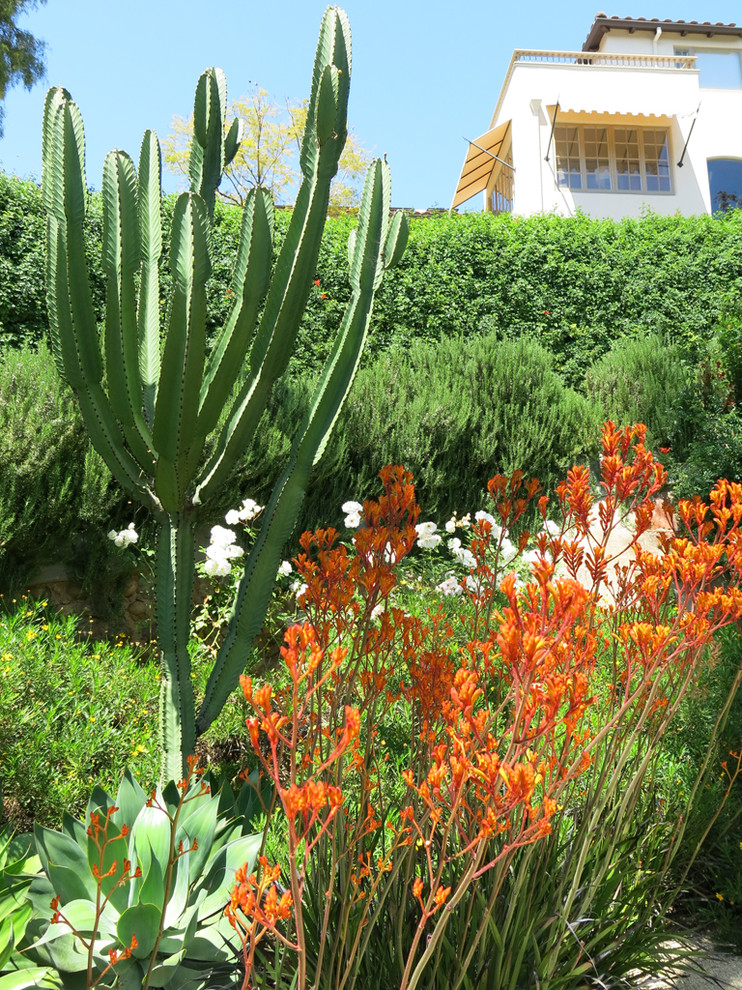 Immagine di un ampio giardino xeriscape mediterraneo esposto in pieno sole con un muro di contenimento, un pendio, una collina o una riva e ghiaia