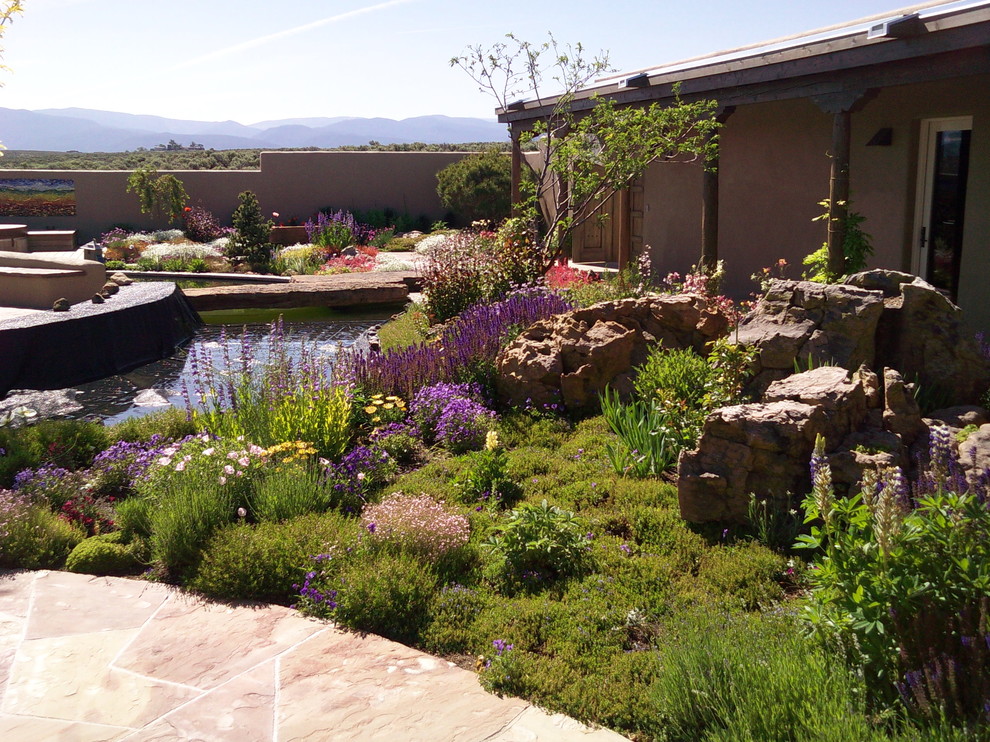 Dragon S Cosmic Breath Eclectic Landscape Denver By Marpa Design Studio Houzz