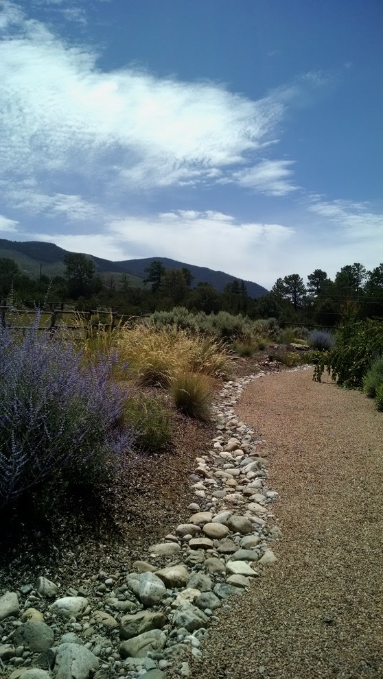 Photo of a southwestern drought-tolerant and full sun stone landscaping in Albuquerque for summer.