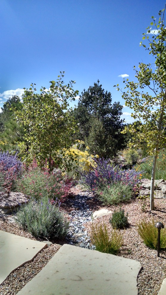 Modelo de jardín de secano de estilo americano en verano con exposición total al sol y adoquines de piedra natural