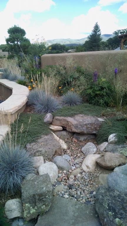 This is an example of a xeriscape full sun garden for summer in Albuquerque with natural stone paving.