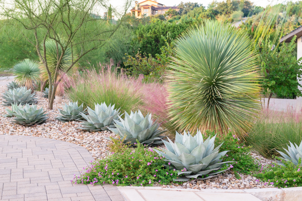 Идея дизайна: большой солнечный, осенний засухоустойчивый сад на переднем дворе в современном стиле с пустынными растениями, хорошей освещенностью и покрытием из гальки