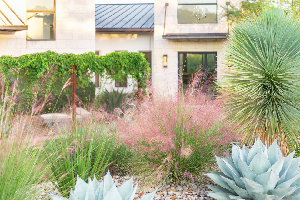 Свежая идея для дизайна: большой солнечный, осенний засухоустойчивый сад на переднем дворе в современном стиле с пустынными растениями, хорошей освещенностью и покрытием из гальки - отличное фото интерьера