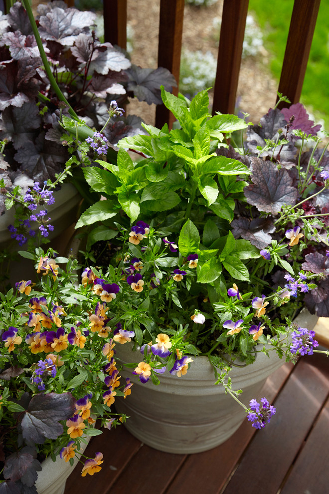 Inspiration for an eclectic landscaping in New York.