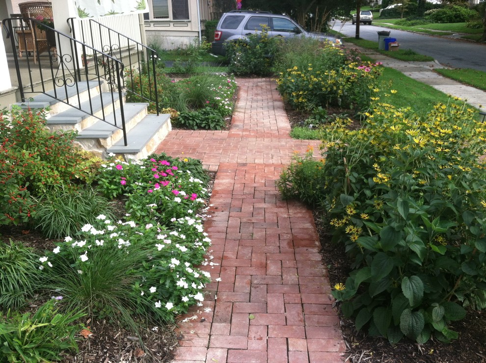 Drexel Hill native bird and butterfly garden Contemporary Landscape