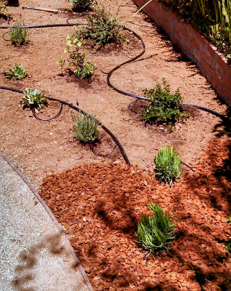 Drip Irrigation Landscape Los Angeles by Yard Maven Houzz