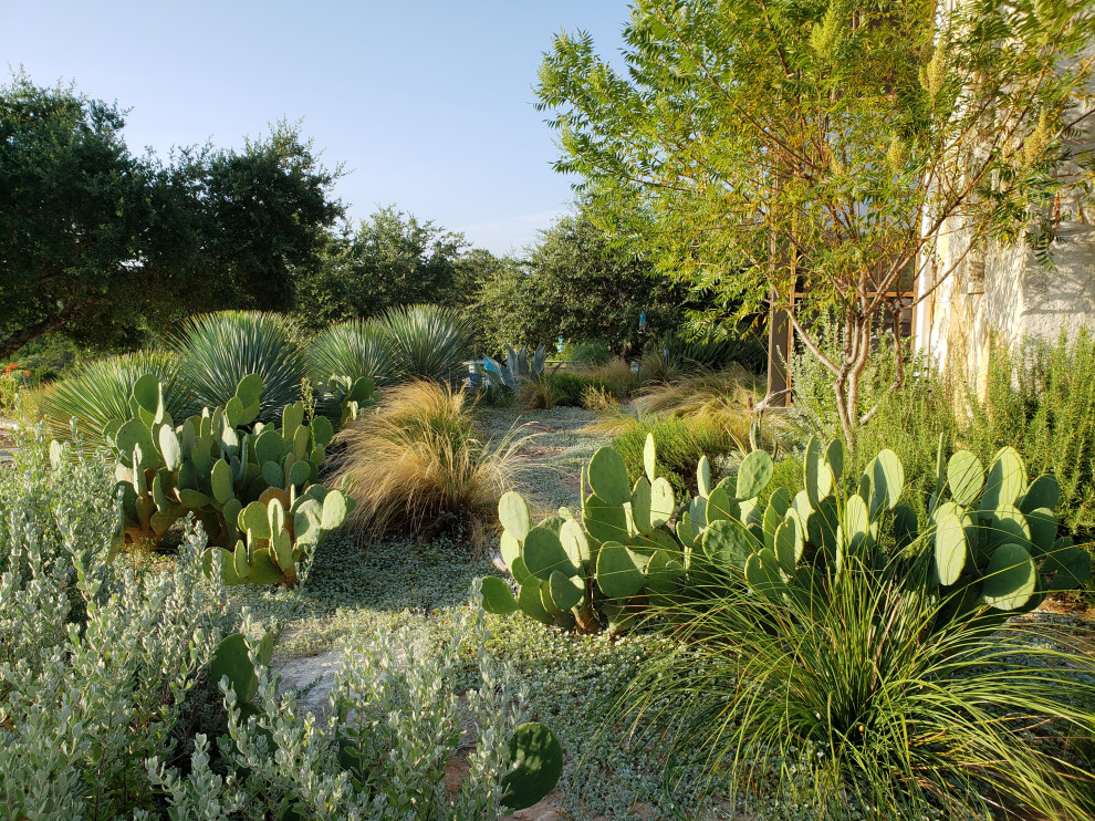 Ejemplo de jardín de secano de estilo americano extra grande con paisajismo estilo desértico, exposición total al sol y adoquines de piedra natural