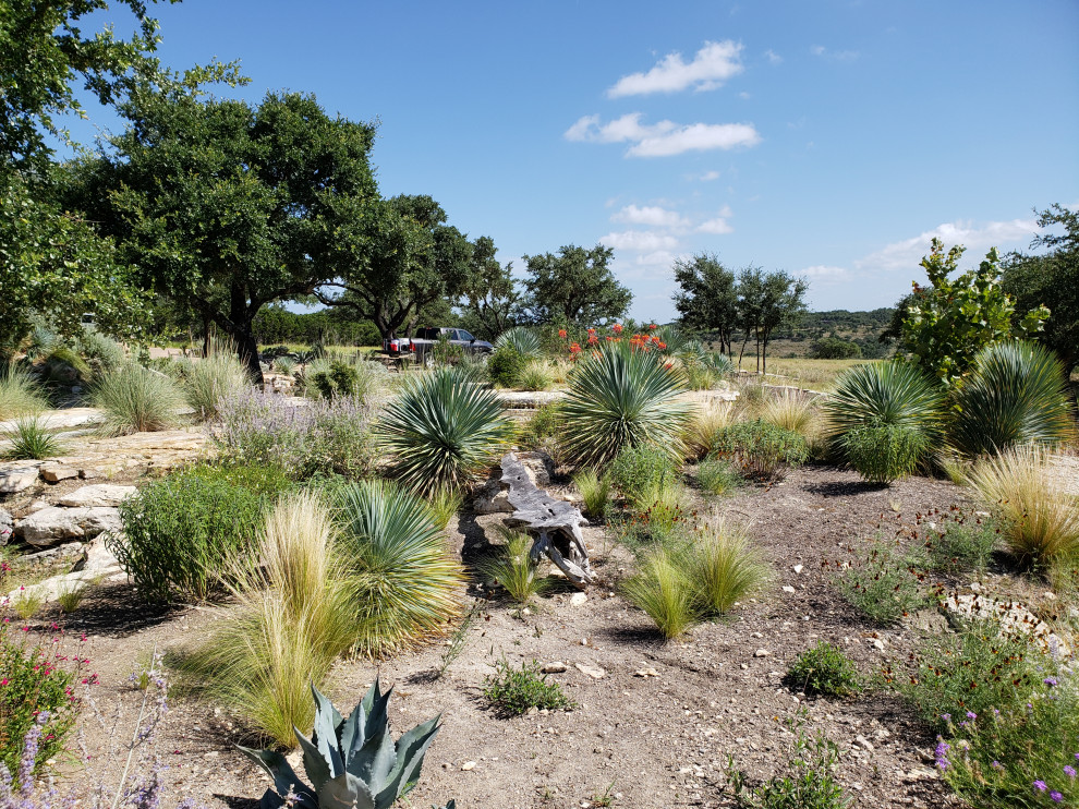 Inspiration för en amerikansk trädgård i full sol som tål torka och ökenträdgård, med naturstensplattor