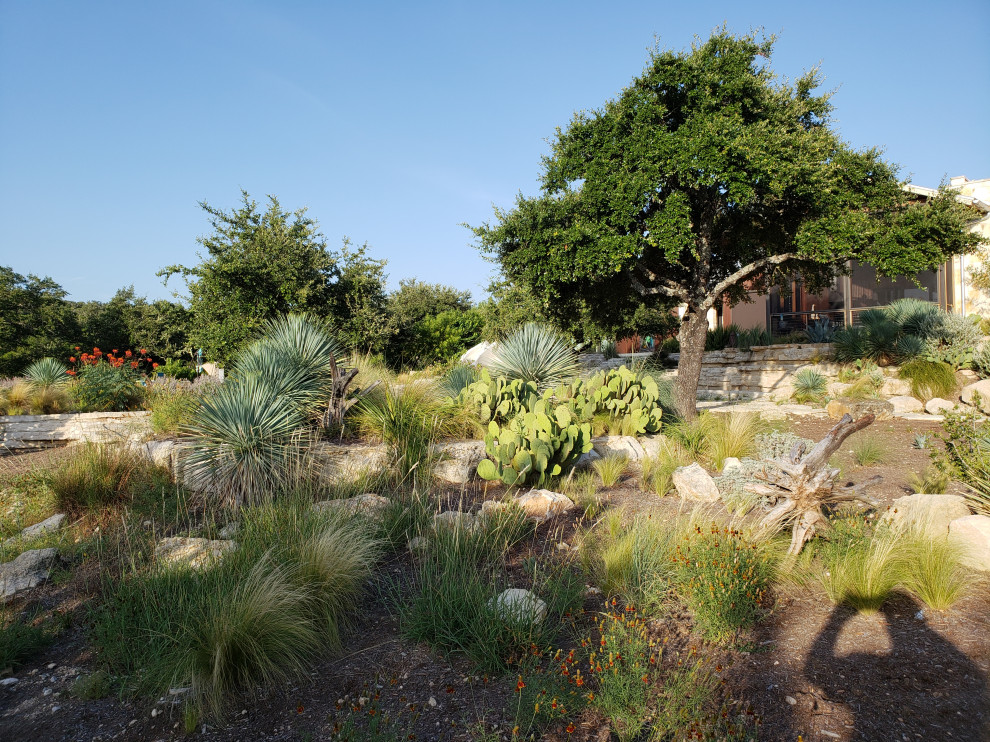 Geräumiger Mediterraner Garten mit Wüstengarten, direkter Sonneneinstrahlung und Natursteinplatten in Austin