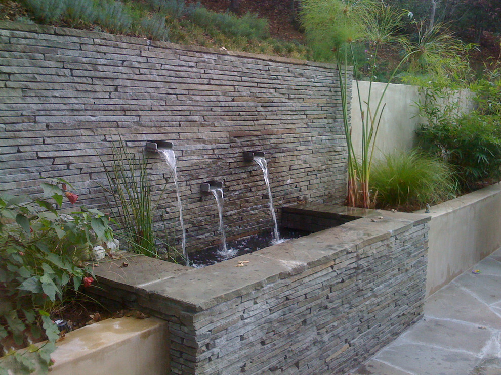 This is an example of a contemporary landscaping in San Francisco.
