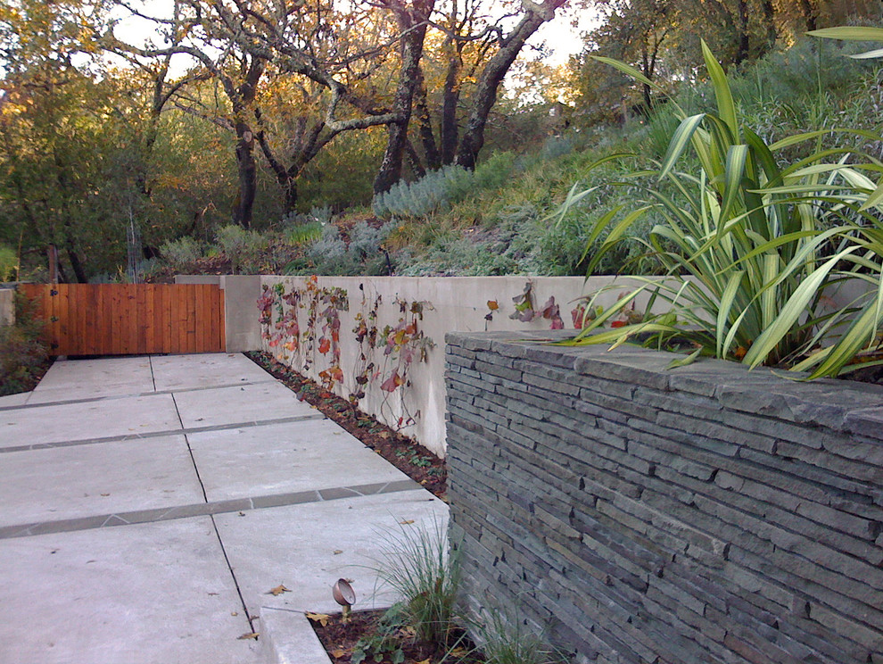 Modelo de jardín contemporáneo con muro de contención