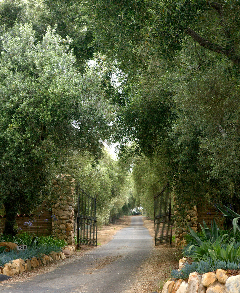 Halbschattiger Mediterraner Vorgarten im Sommer mit Auffahrt in Santa Barbara