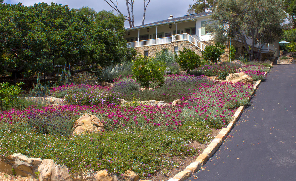 Mittelgroßer Mediterraner Garten im Frühling mit Auffahrt, direkter Sonneneinstrahlung und Mulch in Santa Barbara