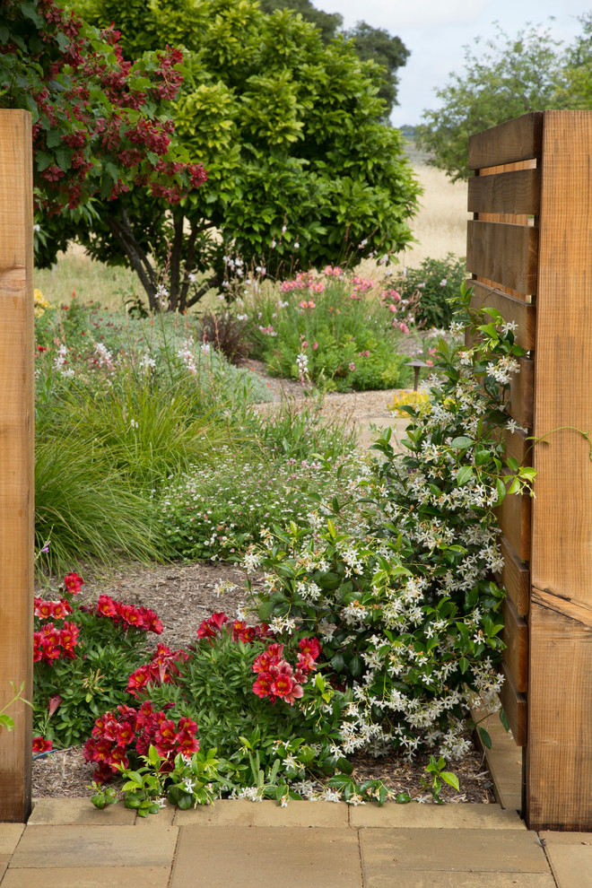 Immagine di un giardino mediterraneo esposto in pieno sole di medie dimensioni e davanti casa con un ingresso o sentiero e pavimentazioni in pietra naturale