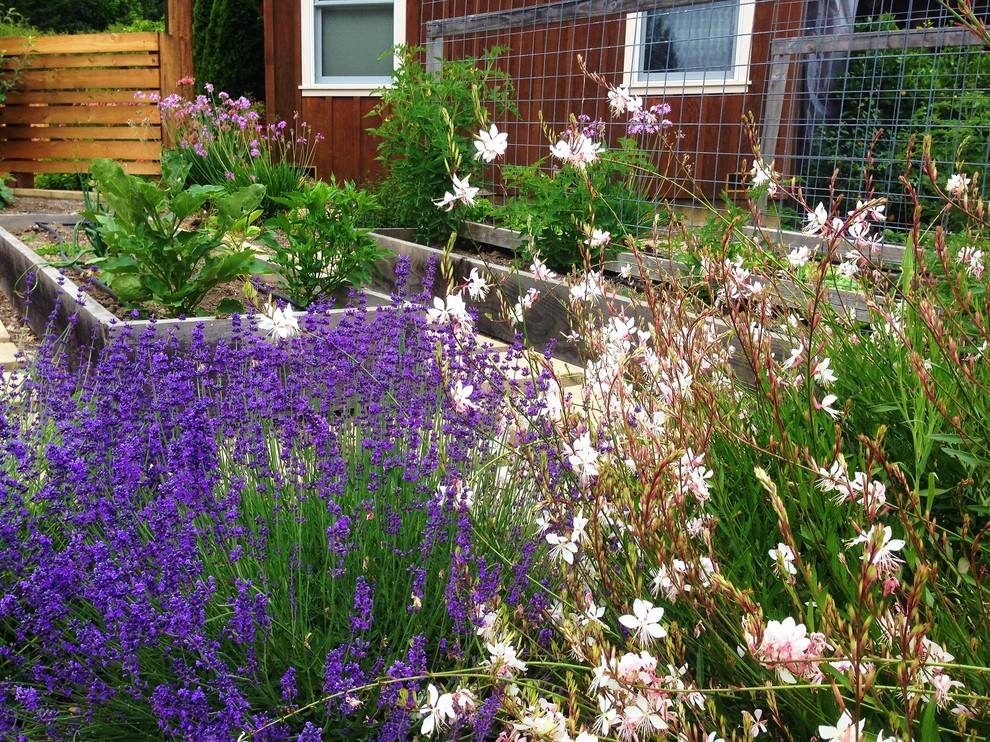Idee per un piccolo orto in giardino mediterraneo esposto in pieno sole davanti casa con ghiaia