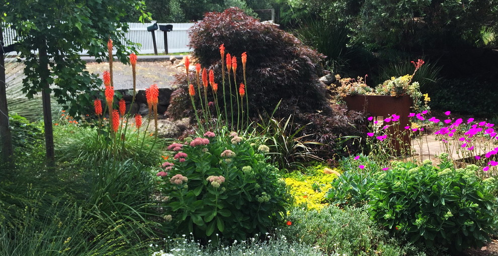 Immagine di un piccolo giardino xeriscape classico esposto in pieno sole davanti casa in primavera con pacciame