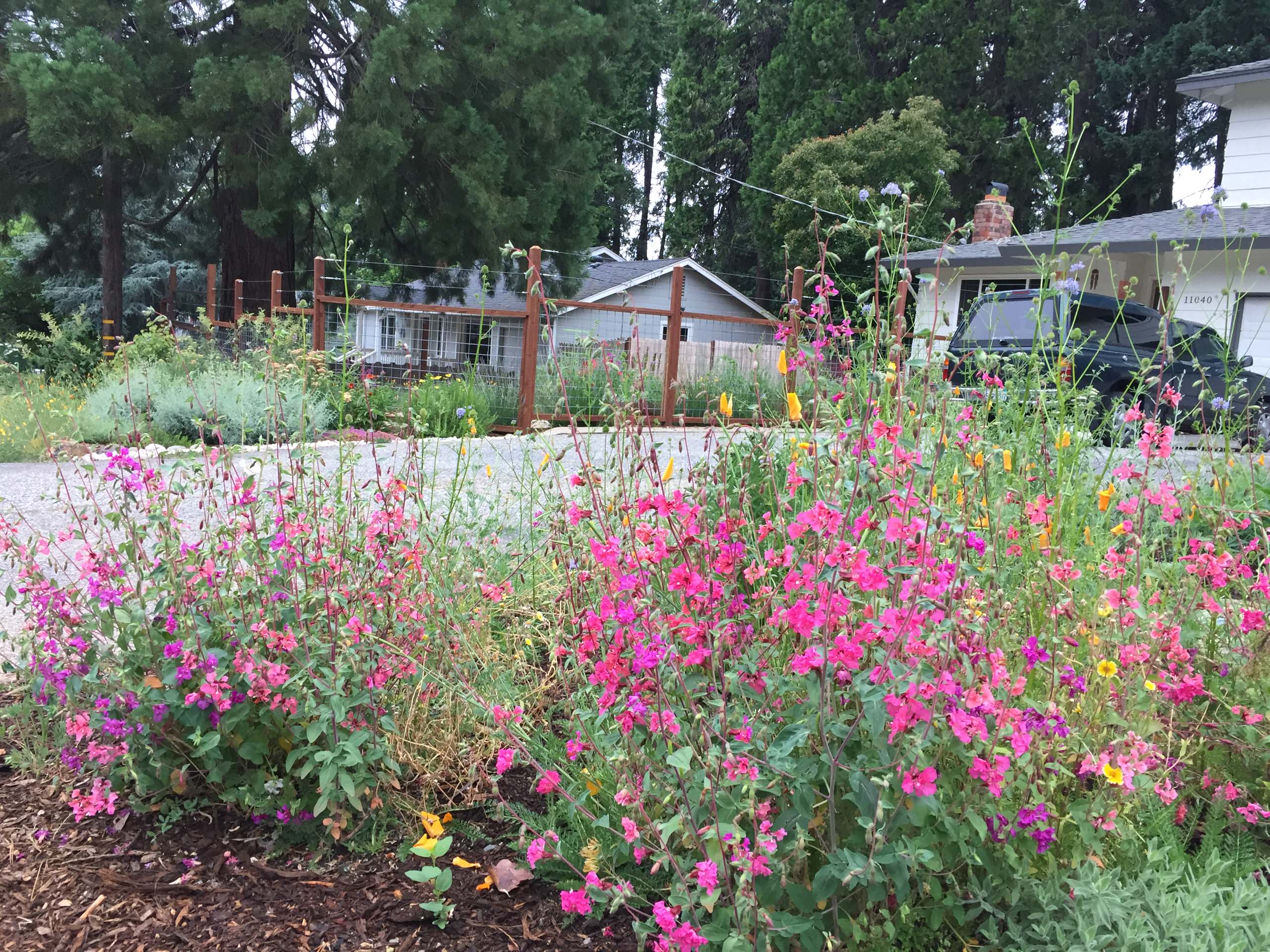 おしゃれな庭の家庭菜園の画像 75選 22年10月 Houzz ハウズ