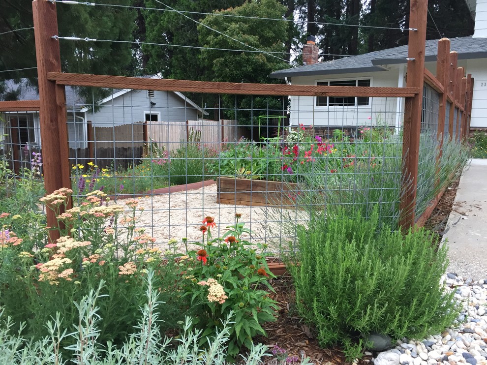 Medium sized rustic front xeriscape full sun garden in Sacramento with a vegetable patch and gravel.