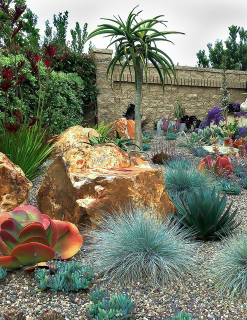 Drought Tolerant Color - Eclectic - Garden - San Diego - by Glorious ...