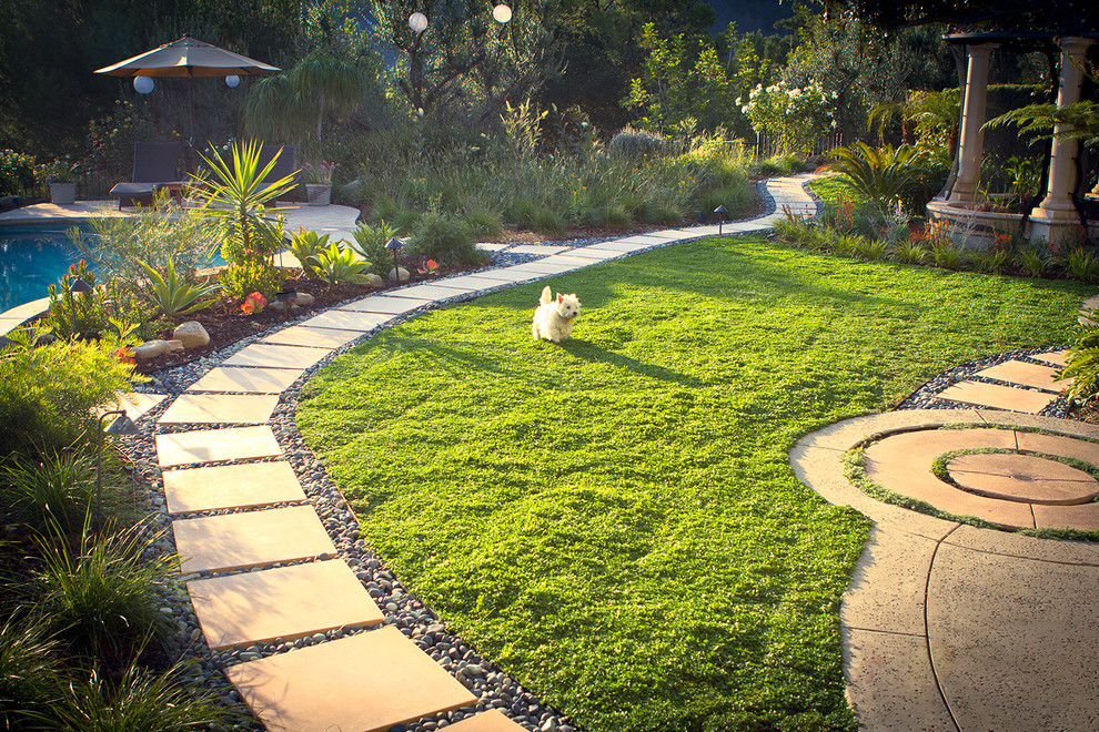 Modelo de camino de jardín de secano contemporáneo grande en patio trasero con adoquines de hormigón