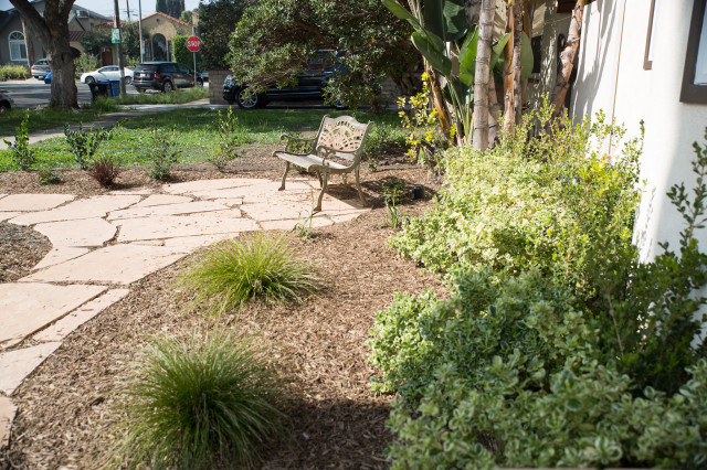 drought-tolerant-front-yard-landscaping-in-west-los-angeles