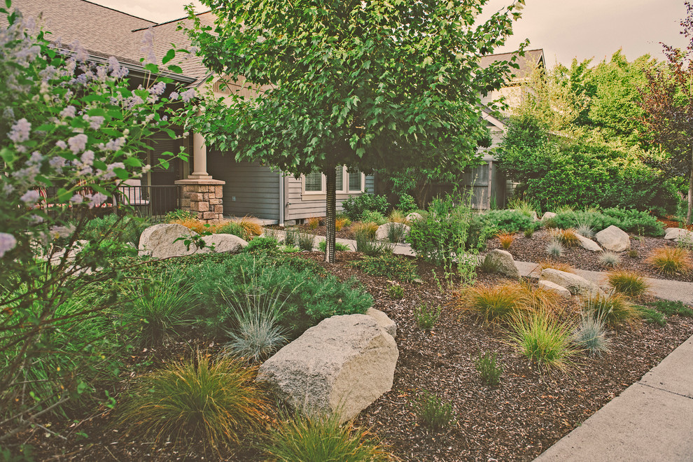 Drought Tolerant Front Yard - Traditional - Landscape - Other - by